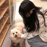 果盘魔力契约手游下载